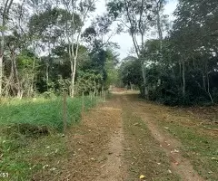 Terreno com área de 5 alqueires a venda em São Francisco Xavier - SP